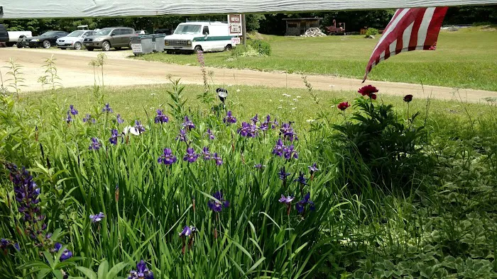 Hazen’s Notch Campground Picture 9