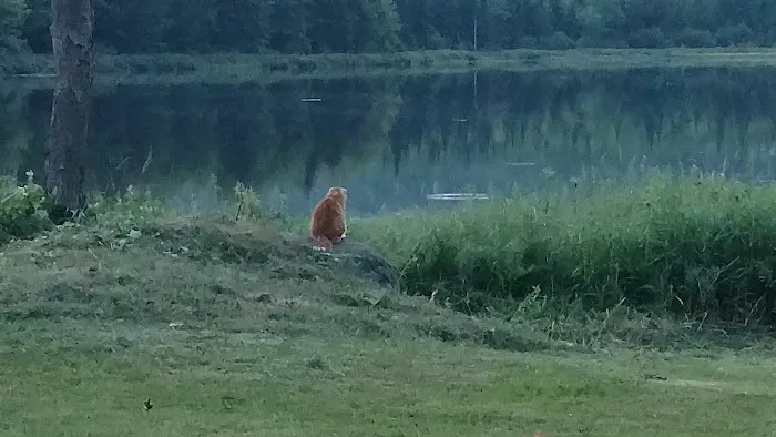 Hazen’s Notch Campground Picture 7