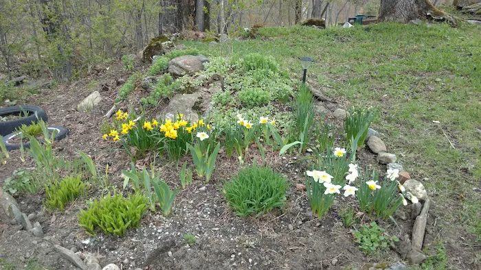 Hazen’s Notch Campground Picture 1