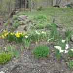 Hazen’s Notch Campground