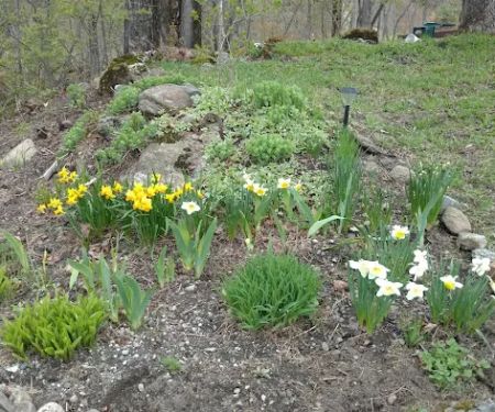 Hazen’s Notch Campground
