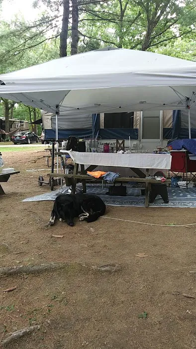 Malletts Bay Campground Picture 6