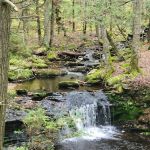 Devil’s Hopyard State Park Campground