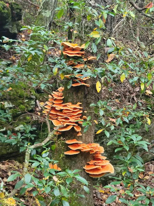 Devil’s Hopyard State Park Campground Picture 10
