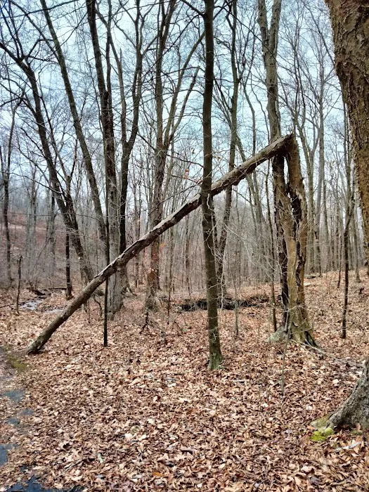 Hurd State Park River Camp Picture 2