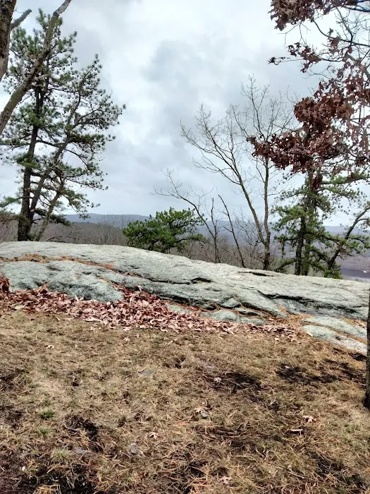 Hurd State Park River Camp Picture 4