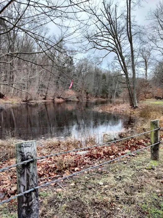 Hurd State Park River Camp Picture 6