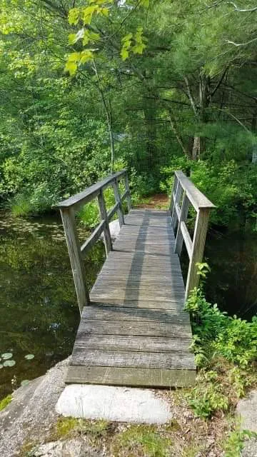 Beach Pond Cabins Picture 1