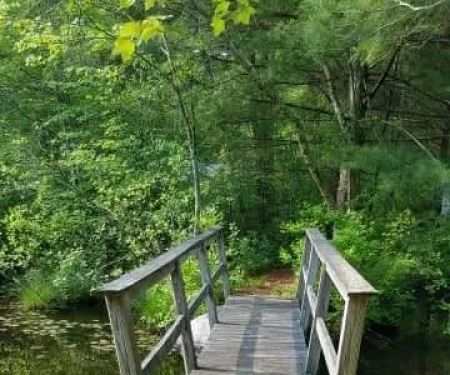 Beach Pond Cabins