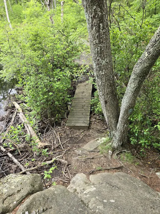 Green Falls Campground Picture 7