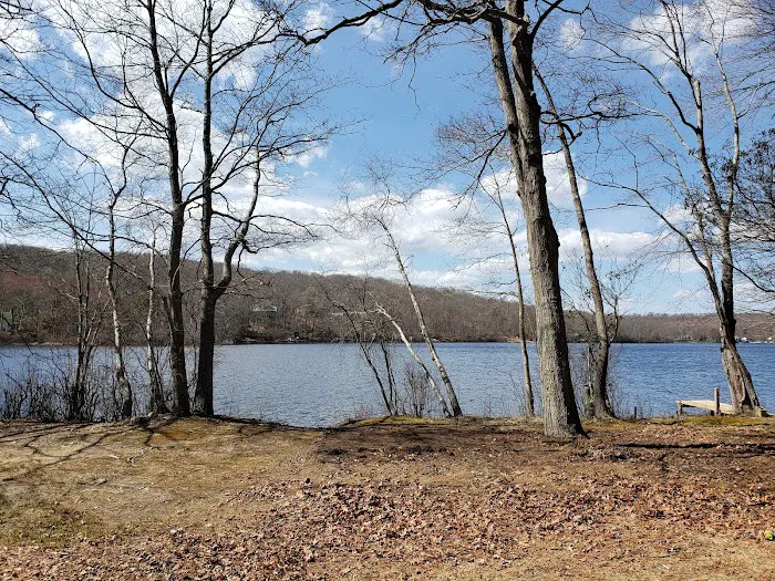 The Island RV Park Picture 5