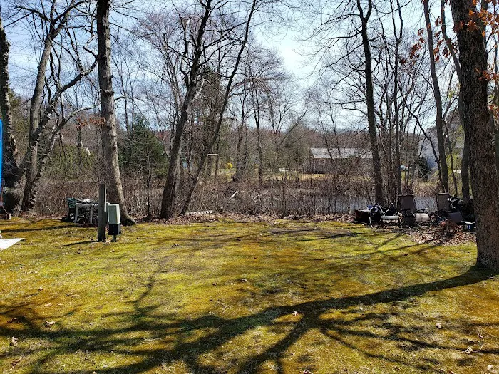 The Island RV Park Picture 9