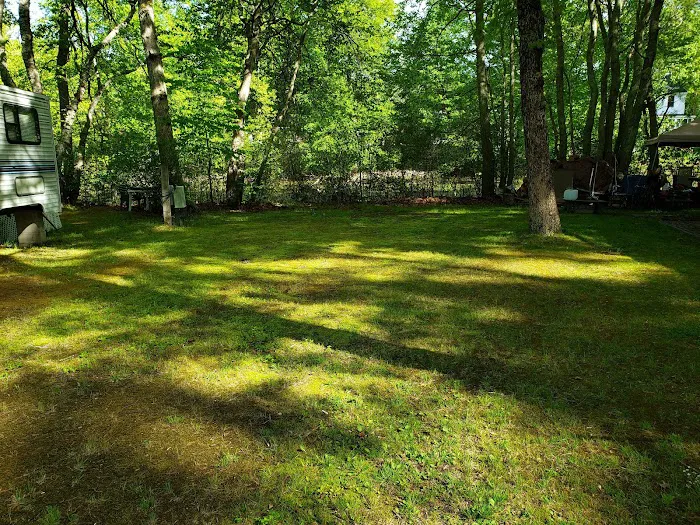 The Island RV Park Picture 10