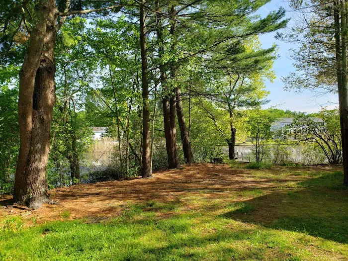 The Island RV Park Picture 2