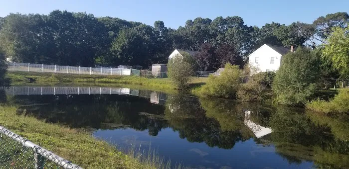 Sandcastle Picture 2