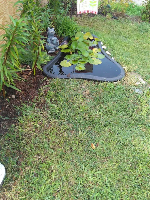 Countryside Trailer Park Picture 9