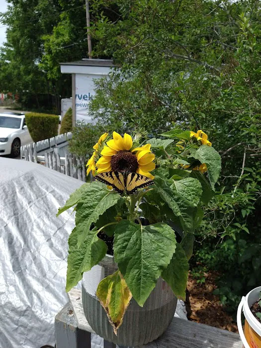 Countryside Trailer Park Picture 10