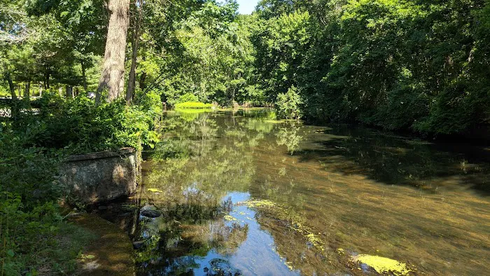 Countryside Trailer Park Picture 4