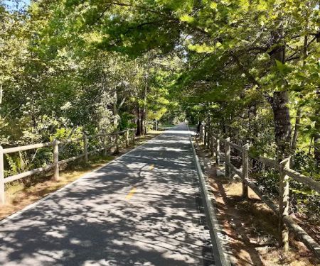 Ayoho Campground