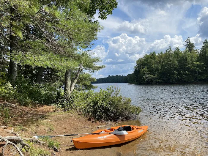 Rollins Pond Campground Picture 8