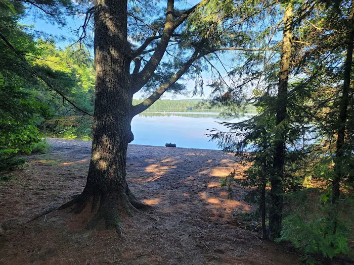 Rollins Pond Campground Picture 10
