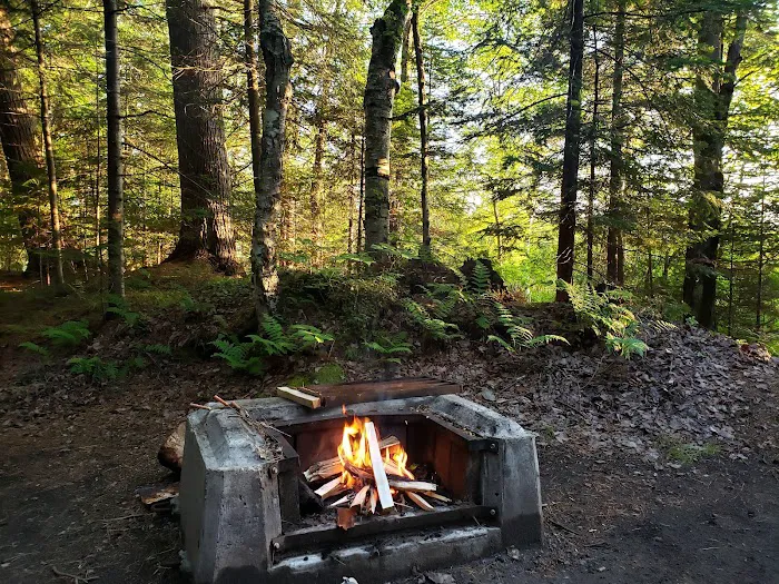 Rollins Pond Campground Picture 9