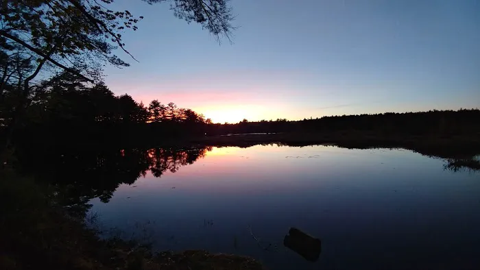 Pineland Park Picture 3