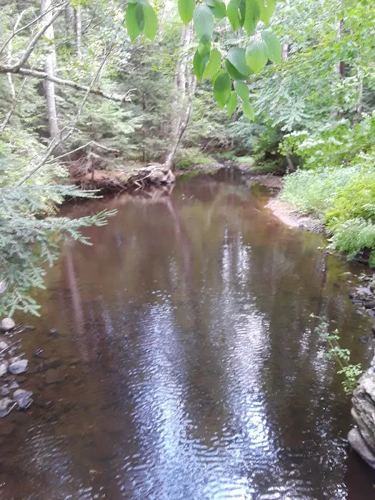 Potter’s Place Picture 4