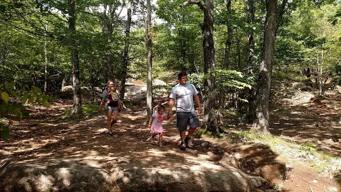 Full Wellness Retreat at Fort Ridge Picture 5
