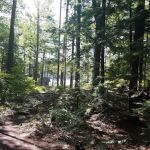 Parker Mountain Scout Reservation