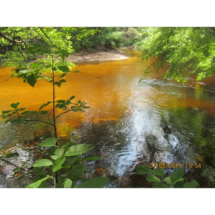 Bearcamp River Campground Picture 10
