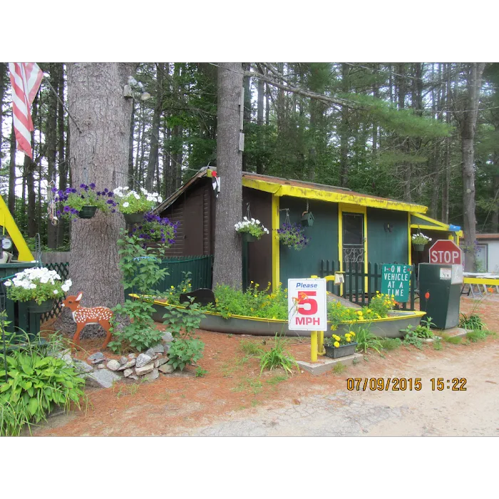 Bearcamp River Campground Picture 1