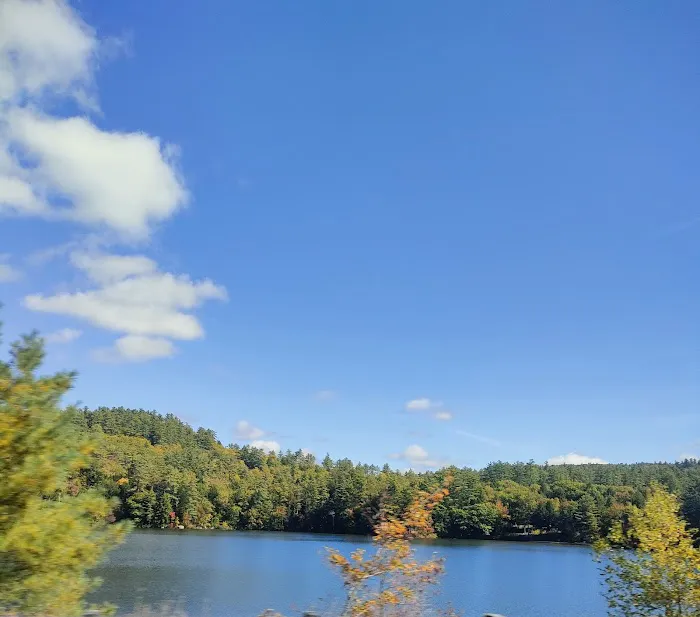 Ossipee Lake Camping Area Picture 3