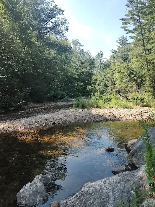 Tamworth Campground (A Modern America Campground) Picture 4
