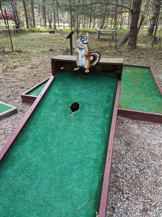Tamworth Campground (A Modern America Campground) Picture 8