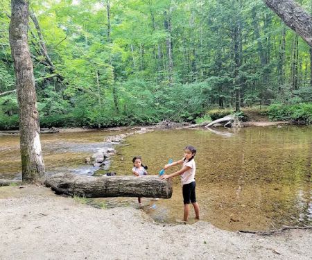 Tamworth Campground (A Modern America Campground)