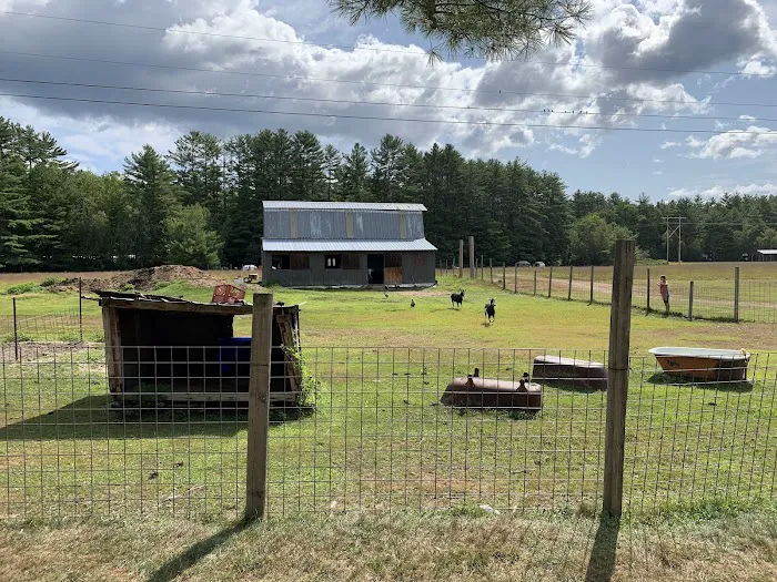 Tamworth Campground (A Modern America Campground) Picture 2
