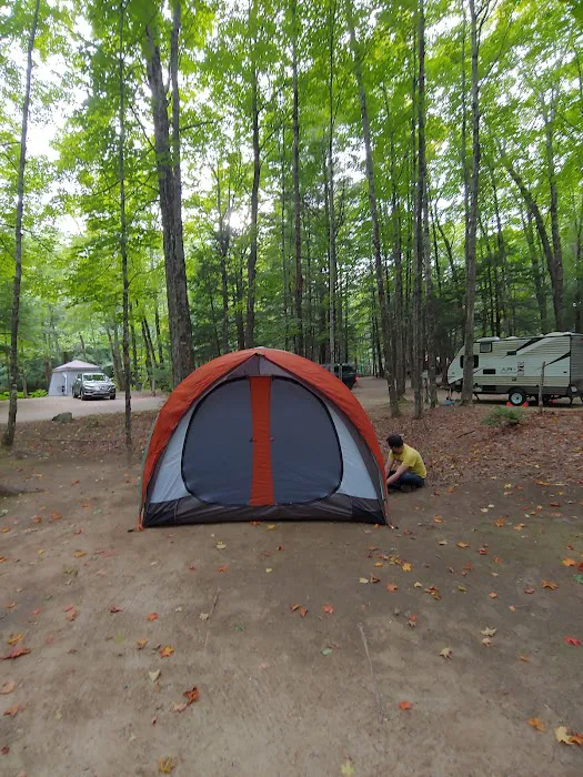 Tamworth Campground (A Modern America Campground) Picture 10
