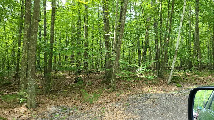 Zion's Recreation Camp Picture 5