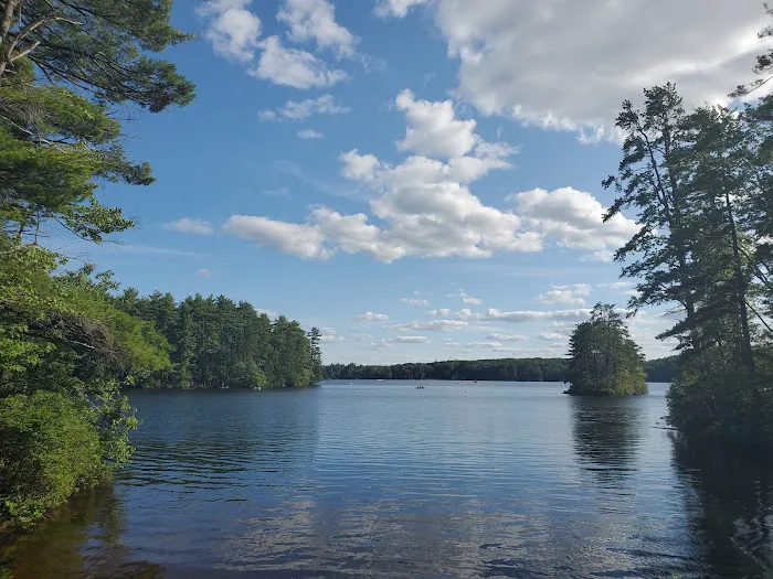 Neal’s Cove, Pawtuckaway State Park. Picture 3