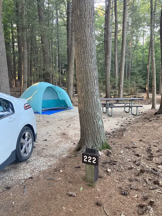 Neal’s Cove, Pawtuckaway State Park. Picture 7