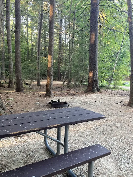 Neal’s Cove, Pawtuckaway State Park. Picture 5