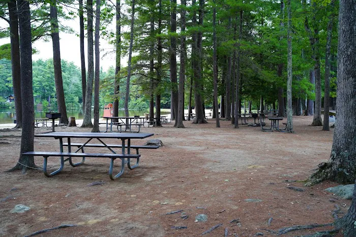 Neal’s Cove, Pawtuckaway State Park. Picture 8