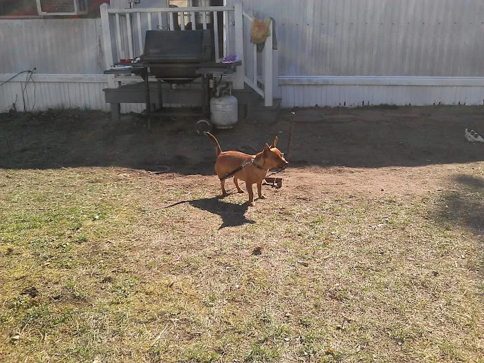 Whispering Pines Mobile Home Village & Sales Picture 7