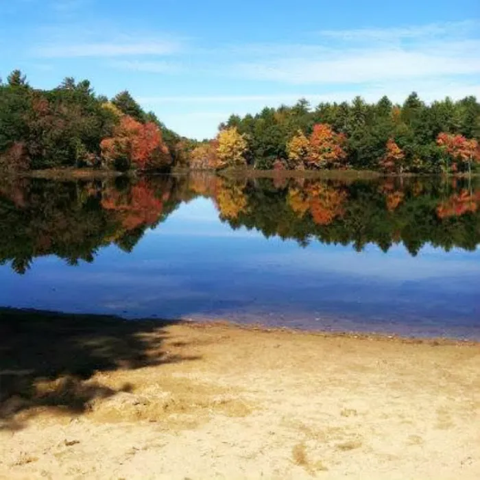 Pine Acres Campground Picture 3