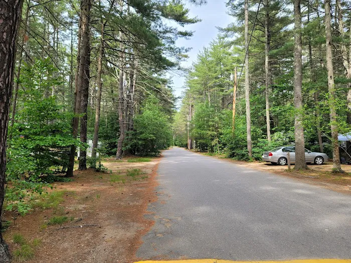 Pine Acres Campground Picture 8