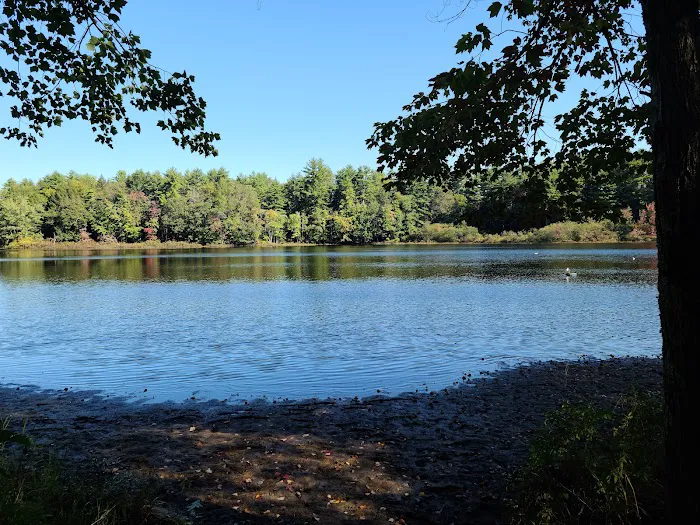 Pine Acres Campground Picture 10