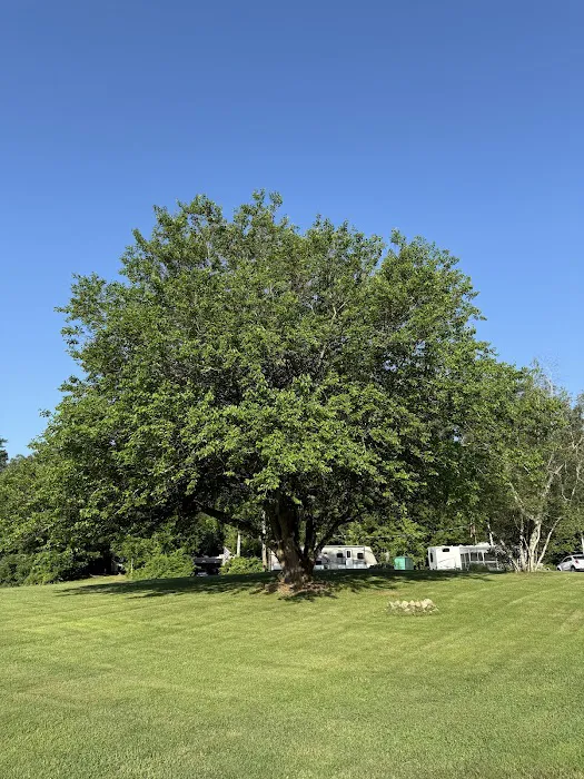 Sunset Park Campground Picture 2