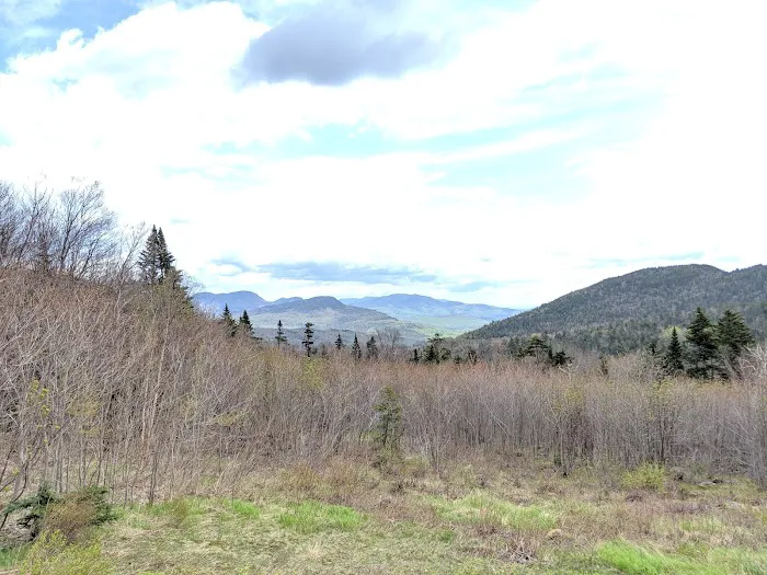 Passaconaway Campground Picture 10