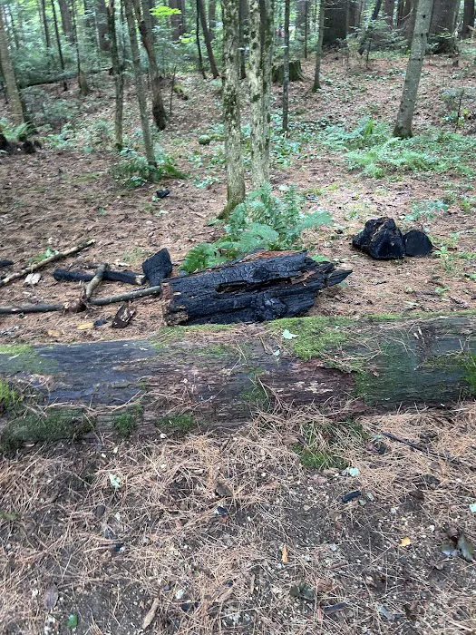 Passaconaway Campground Picture 8